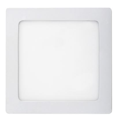 Rabalux - LED Stropní svítidlo LED/12W/230V
