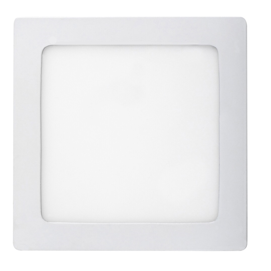 Rabalux - LED Stropní svítidlo LED/12W/230V