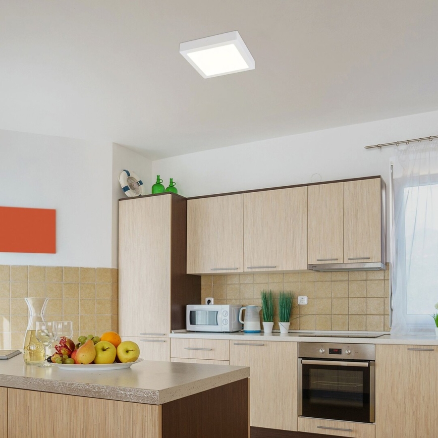 Rabalux - LED Stropní svítidlo LED/18W/230V