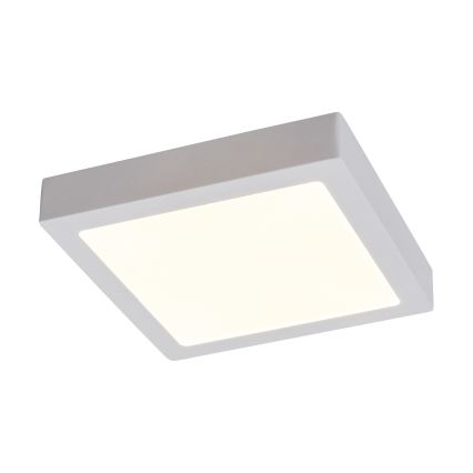 Rabalux - LED Stropní svítidlo LED/18W/230V