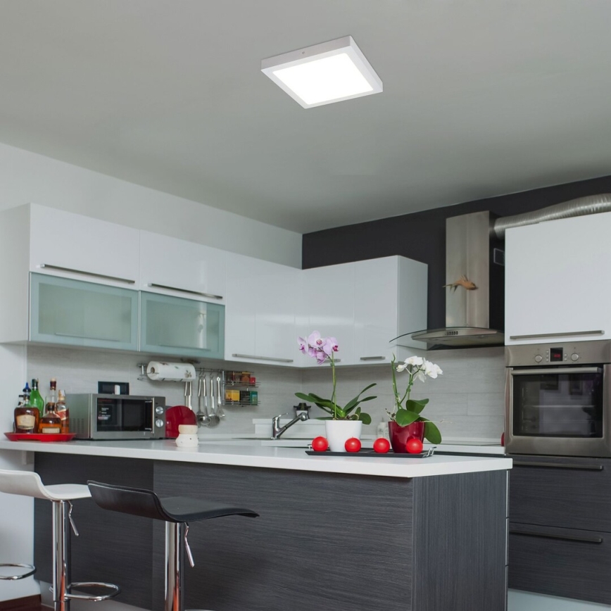 Rabalux - LED Stropní svítidlo LED/24W/230V