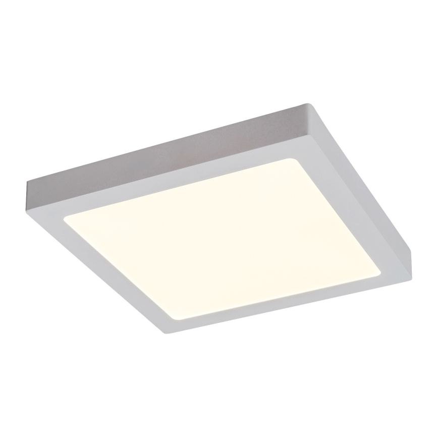 Rabalux - LED Stropní svítidlo LED/24W/230V