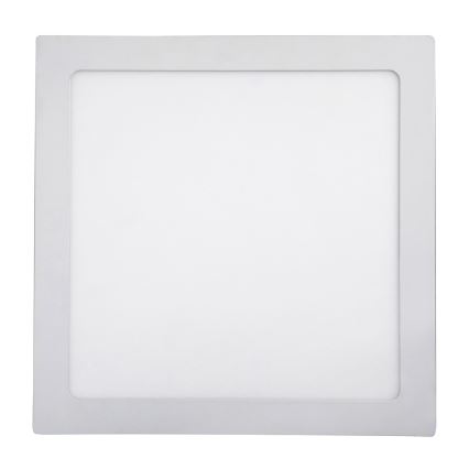 Rabalux - LED Stropní svítidlo LED/24W/230V