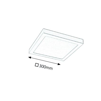 Rabalux - LED Stropní svítidlo LED/24W/230V