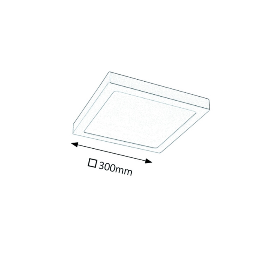 Rabalux - LED Stropní svítidlo LED/24W/230V