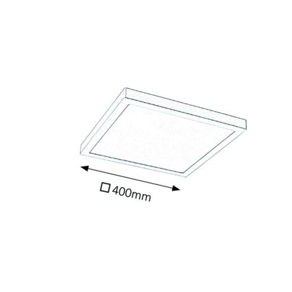 Rabalux - LED Stropní svítidlo LED/36W/230V