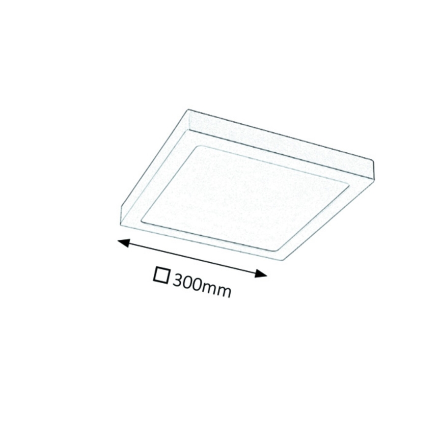 Rabalux - LED Stropní svítidlo LED/24W/230V