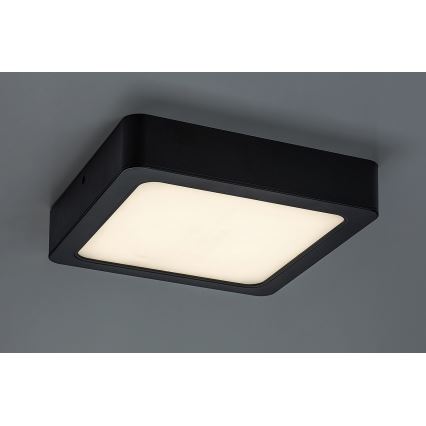 Rabalux - LED Koupelnové stropní svítidlo LED/24W/230V 22x22 cm IP44