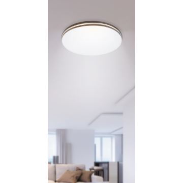Rabalux - LED Stropní svítidlo 1xLED/18W/230V