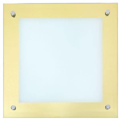 Rabalux 3047 - LED Stropní svítidlo LARS 1xLED/12W/230V