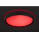 Rabalux - LED RGB Stmívatelné svítidlo LED/40W/230V 2700-6500 Wi-Fi + Do