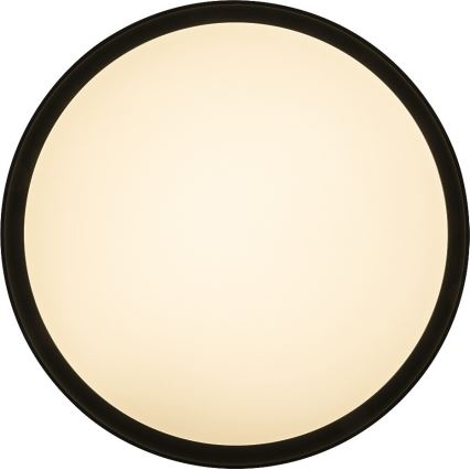 Rabalux - LED RGB Stmívatelné svítidlo LED/40W/230V 2700-6500 Wi-Fi pr. 50 cm + Do