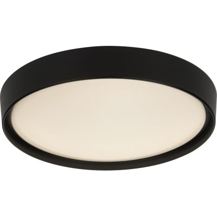 Rabalux - LED RGB Stmívatelné svítidlo LED/40W/230V 2700-6500 Wi-Fi pr. 50 cm + Do