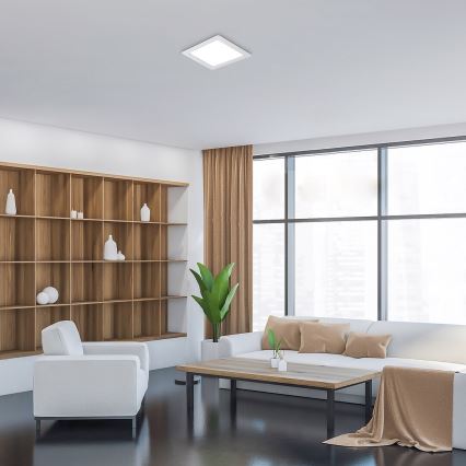 Rabalux - LED Podhledové svítidlo LED/24W/230V 22x22 cm