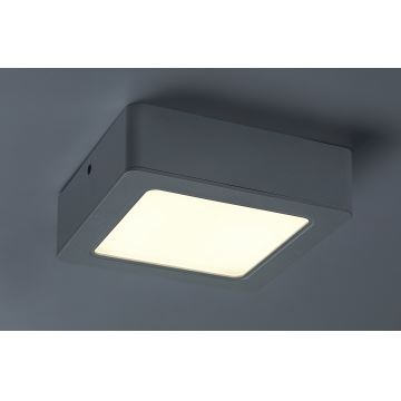 Rabalux - LED Stropní svítidlo LED/12W/230V 14,5 cm