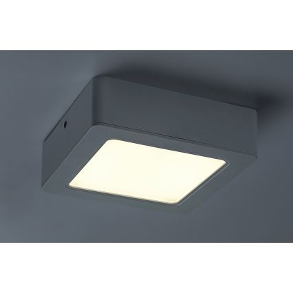 Rabalux - LED Stropní svítidlo LED/12W/230V 14,5 cm