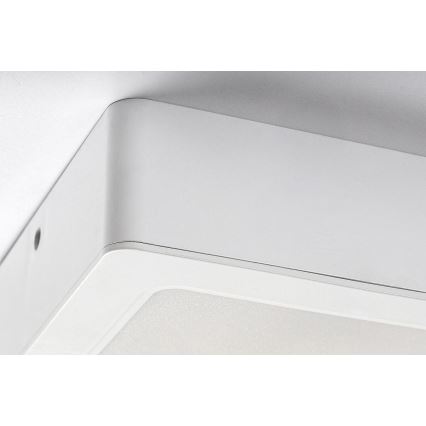 Rabalux - LED Stropní svítidlo LED/12W/230V 14,5x14,5 cm