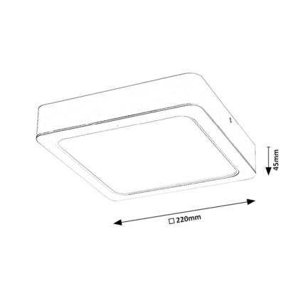 Rabalux - LED Stropní svítidlo LED/24W/230V 22x22 cm