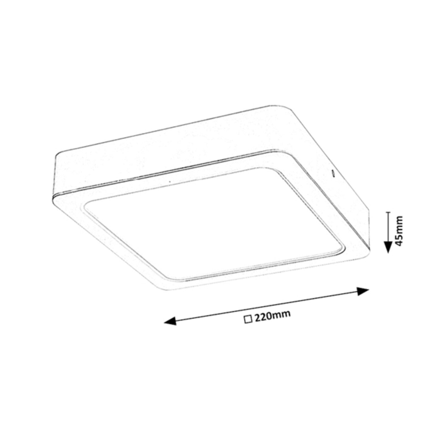Rabalux - LED Stropní svítidlo LED/24W/230V 22x22 cm