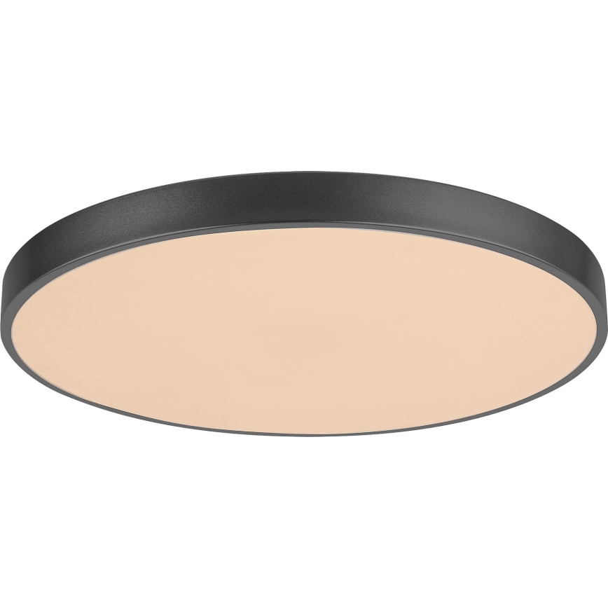 Rabalux - LED Stmívatelné stropní svítidlo LED/60W/230V 60 cm + dálkové ovládání