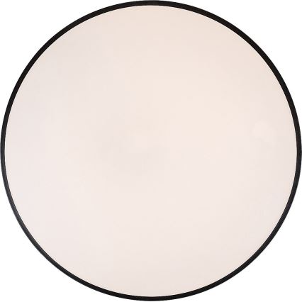 Rabalux - LED Stmívatelné stropní svítidlo LED/60W/230V 60 cm + dálkové ovládání