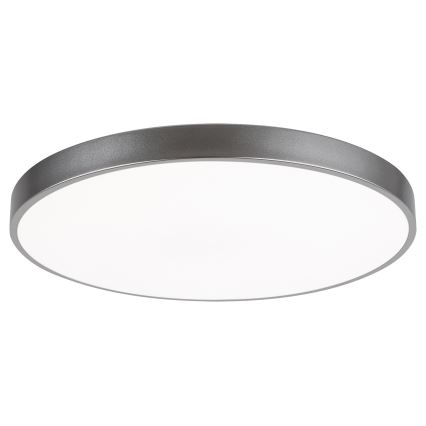 Rabalux - LED Stmívatelné stropní svítidlo LED/60W/230V 60 cm + dálkové ovládání