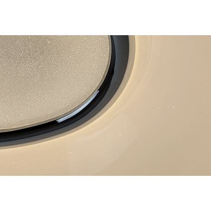 Rabalux - LED Stmívatelné stropní svítidlo LED/60W/230V + DO pr. 50 cm