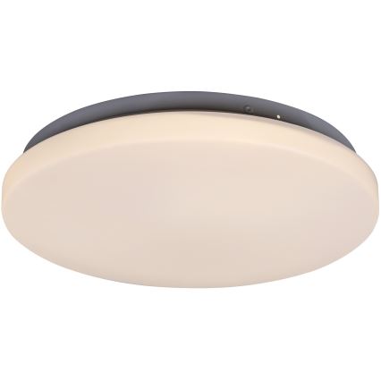 Rabalux - LED Stropní svítidlo LED/20W/230V pr. 29 cm