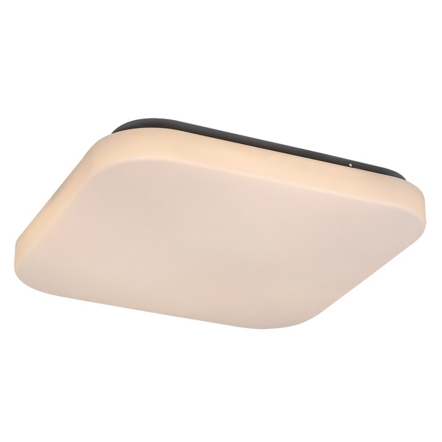 LED Stropní svítidlo ROB LED/20W/230V