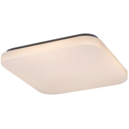 Rabalux - LED Stropní svítidlo LED/32W/230V 32x32 cm