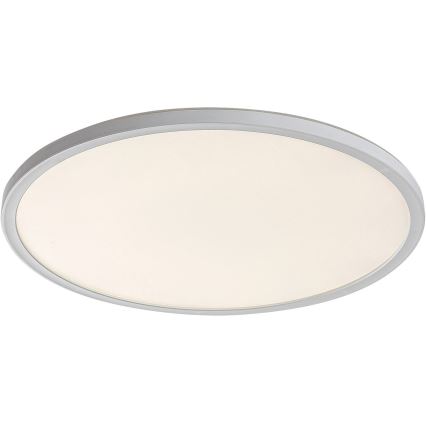 Rabalux - LED Stmívatelné stropní svítidlo LED/22W/230V