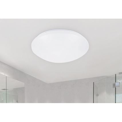 Rabalux - LED Stropní svítidlo 1xLED/24W/230V