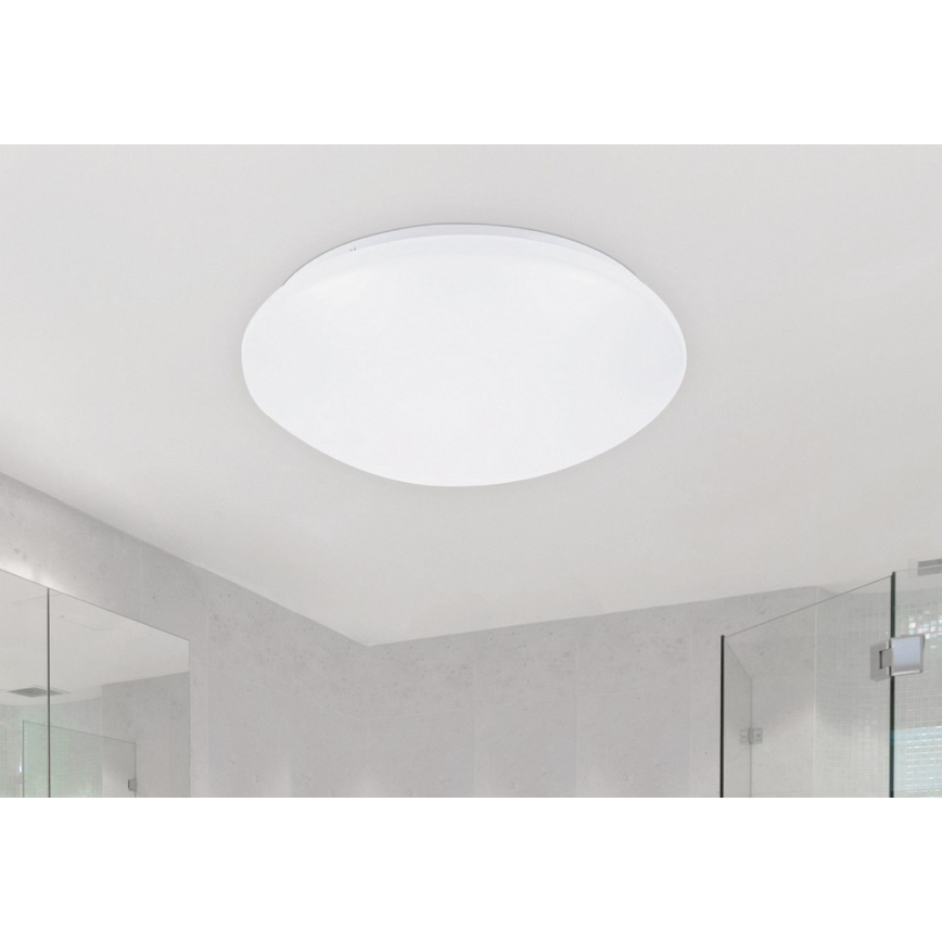 Rabalux - LED Stropní svítidlo 1xLED/24W/230V