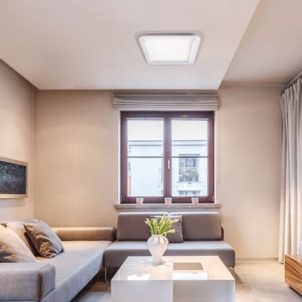 Rabalux - LED Stropní svítidlo LORNA LED/22W/230V