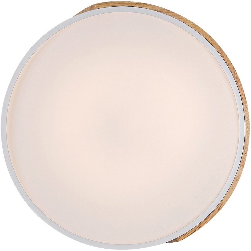 Rabalux - LED Stropní svítidlo LED/24W/230V bílá/dub