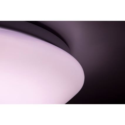 Rabalux - LED RGB Stmívatelné stropní svítidlo na dálkové ovládání LED/16W/230V pr. 30 cm