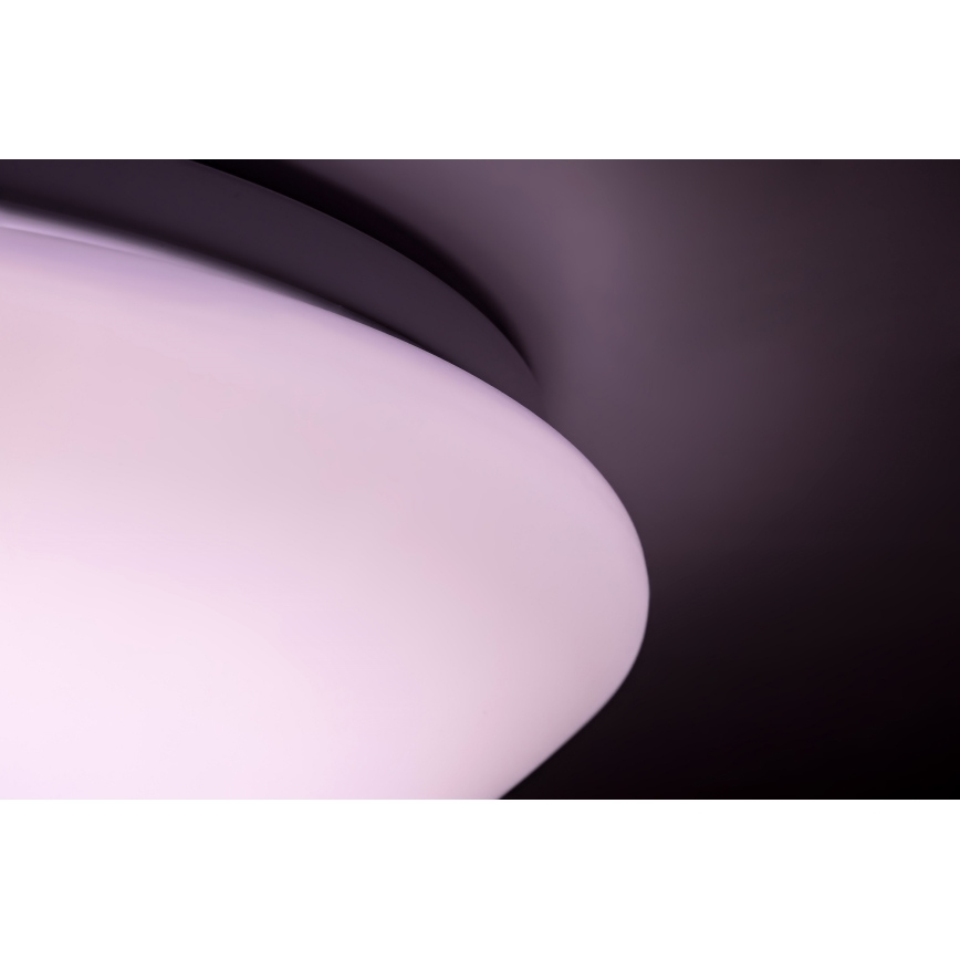 Rabalux - LED RGB Stmívatelné stropní svítidlo na dálkové ovládání LED/16W/230V pr. 30 cm