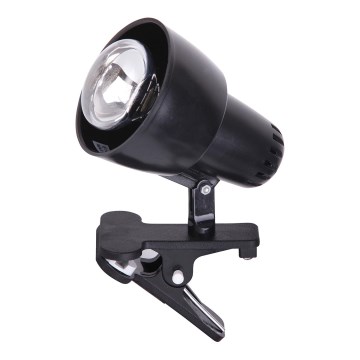 Rabalux 4342 - Lampa s klipem CLIP 1xE14/40W/230V Rabalux 4342 - Lampa s klipem CLIP 1xE14/40W/230V