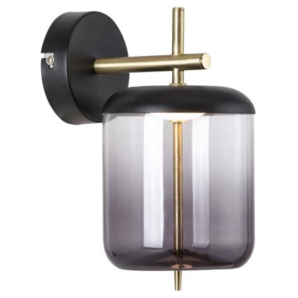 Rabalux - LED Nástěnné svítidlo DELICE LED/6W/230V