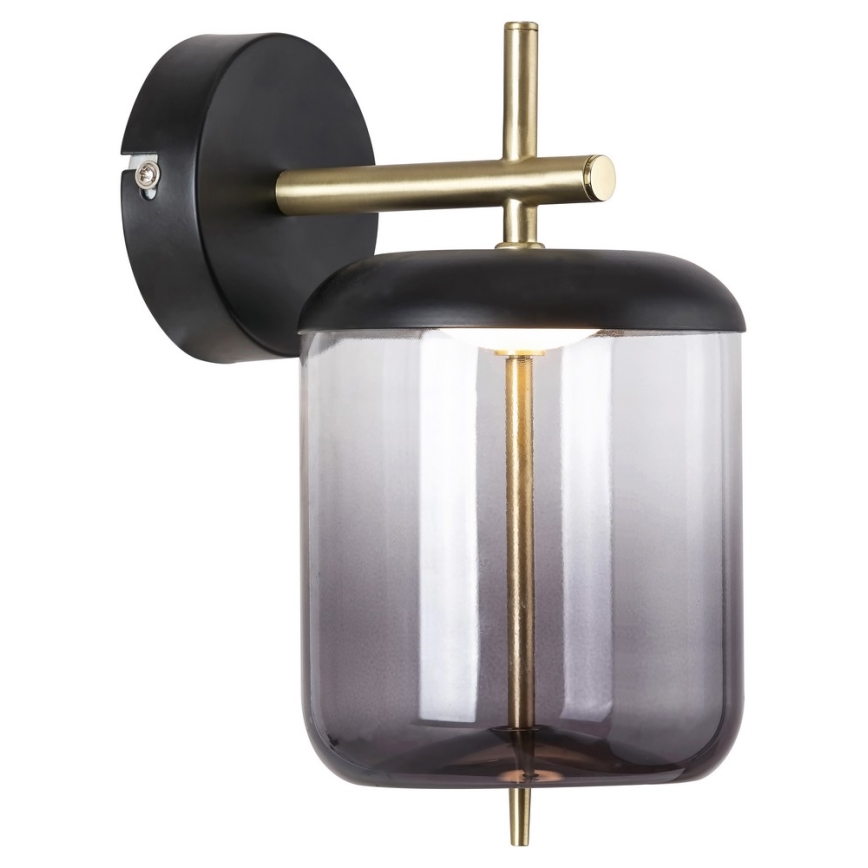 Rabalux - LED Nástěnné svítidlo DELICE LED/6W/230V
