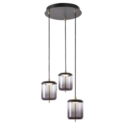 Rabalux - LED Lustr na lanku DELICE 3xLED/6W/230V