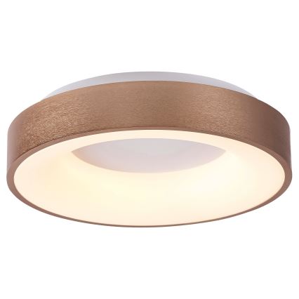 Rabalux - LED Stropní svítidlo CARMELA LED/30W/230V