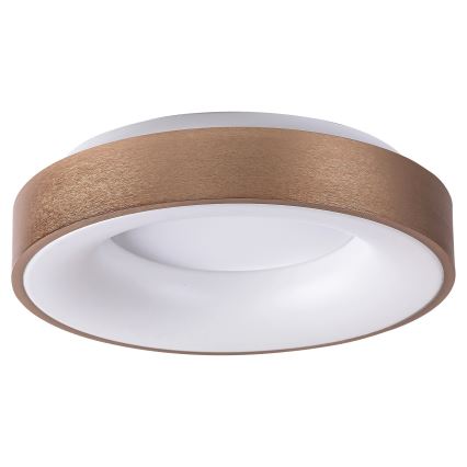 Rabalux - LED Stropní svítidlo CARMELA LED/30W/230V