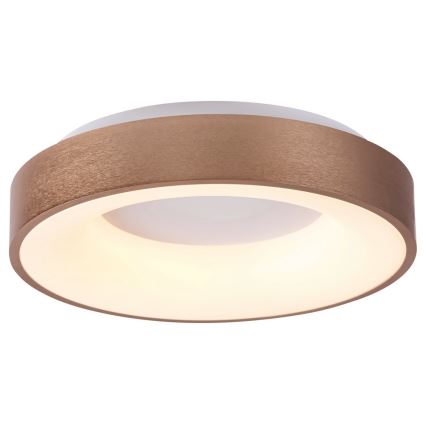 Rabalux - LED Stropní svítidlo CARMELA LED/50W/230V
