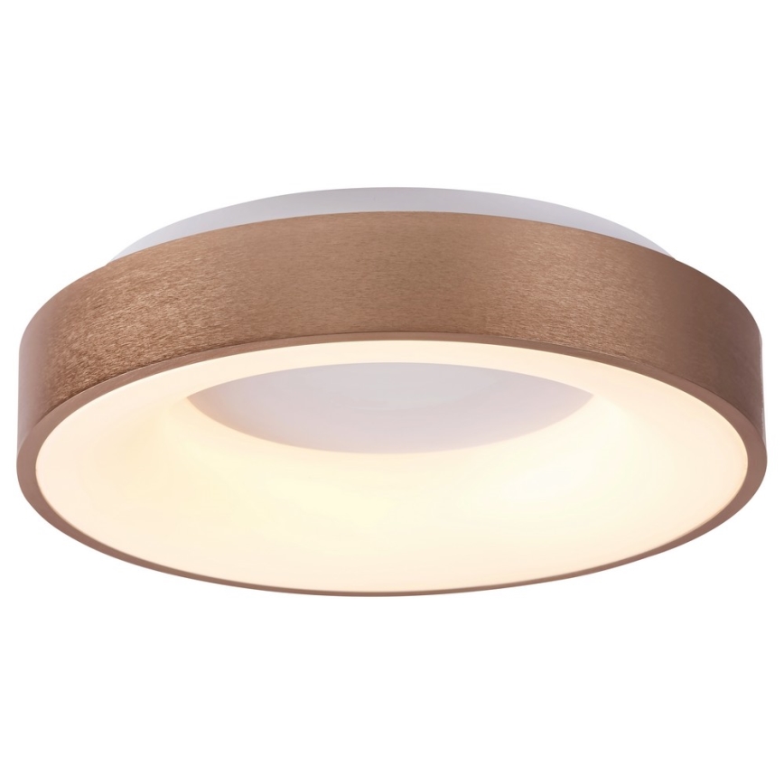 Rabalux - LED Stropní svítidlo CARMELA LED/50W/230V