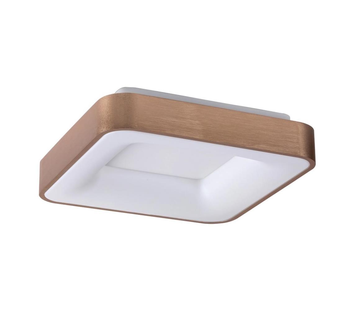 Rabalux Rabalux 5056 - LED Stropní svítidlo CARMELA LED/30W/230V RL5056