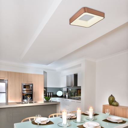 Rabalux - LED Stropní svítidlo CARMELA LED/50W/230V 60x60 cm