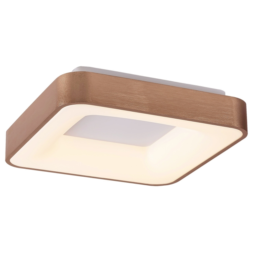 Rabalux - LED Stropní svítidlo CARMELA LED/50W/230V 60x60 cm
