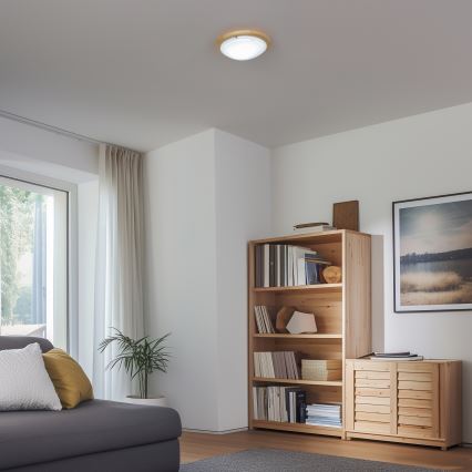 Rabalux - Stropní svítidlo 1xE27/60W/230V pr. 30 cm