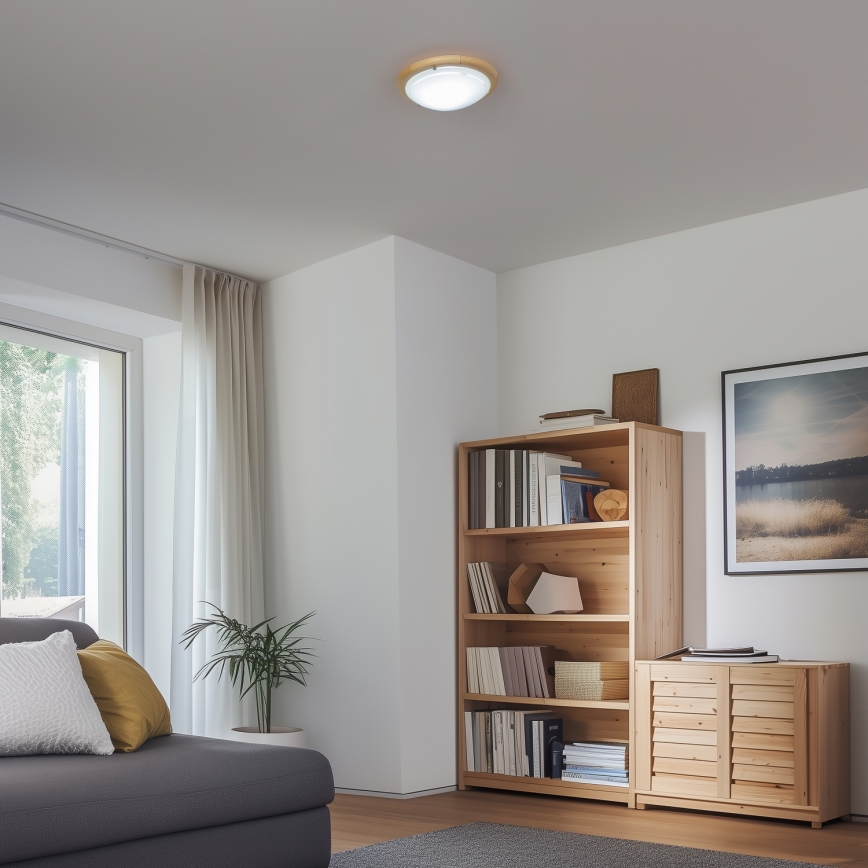 Rabalux - Stropní svítidlo 1xE27/60W/230V pr. 30 cm